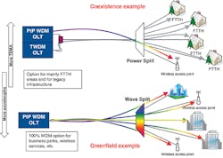 Shedding_Fig1_052016 Shedding_Fig1_052016