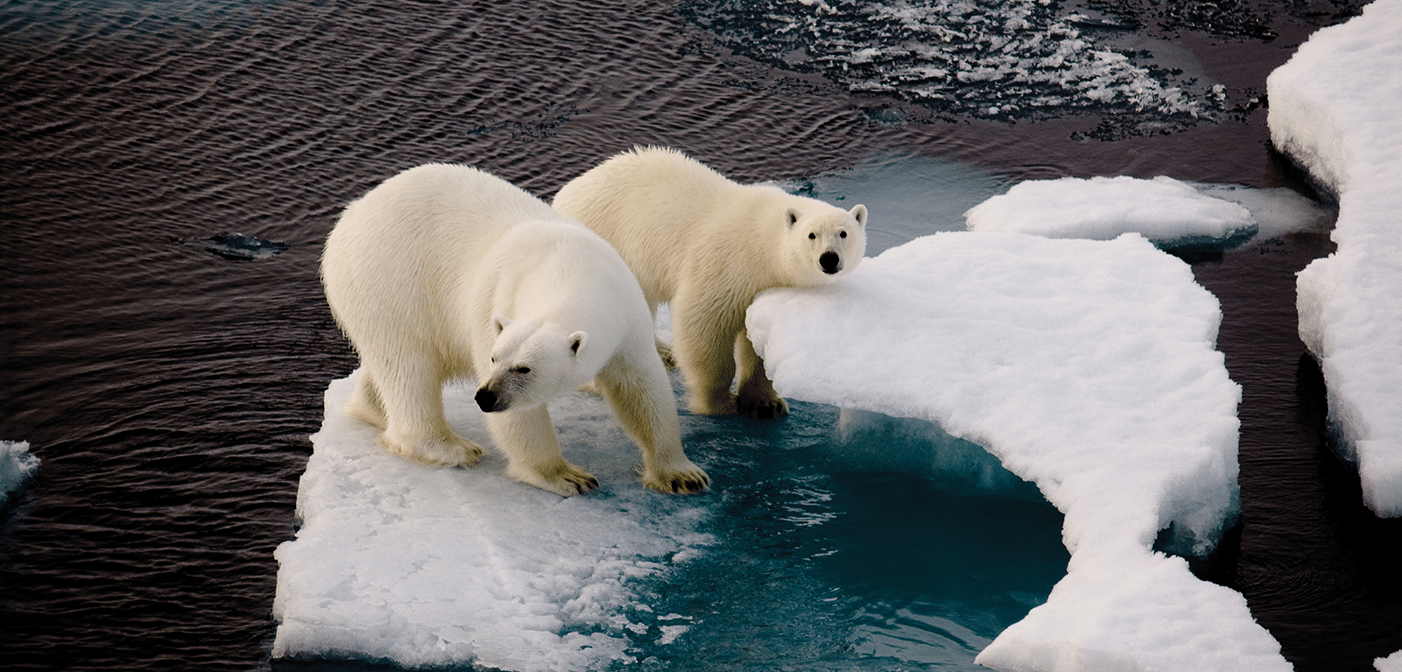 0616 Climate 1402x672