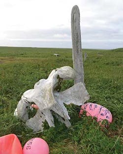 Whale bones and crab pot marker floats. Whale bones and crab pot marker floats.