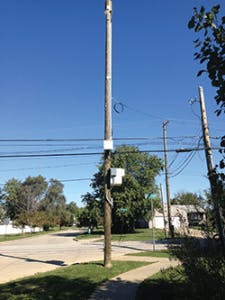 Macro Fig1 052016 225x300 Macro Fig1 052016 225x300