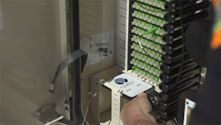 Survival Fig1 052016 300x169 Survival Fig1 052016 300x169