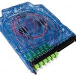 Survival Fig2 052016 150x150 Survival Fig2 052016 150x150