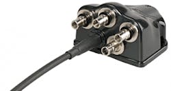 Chasing Fig1 062016 300x161 Chasing Fig1 062016 300x161