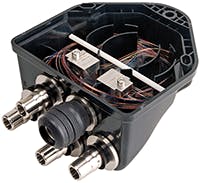 Chasing_Fig3_062016 Chasing_Fig3_062016