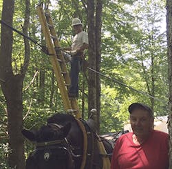 Horsepower Fig1 112016 300x294 Horsepower Fig1 112016 300x294