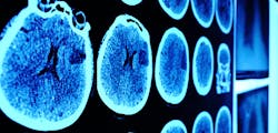 0117 Hn 9 Brain Aging Sins That Kill Your Competitive Edge 1402x672 0117 Hn 9 Brain Aging Sins That Kill Your Competitive Edge 1402x672