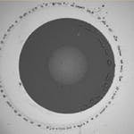 Dirt Fig10 042017 150x150 Dirt Fig10 042017 150x150