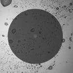 Dirt Fig6 042017 150x150 Dirt Fig6 042017 150x150