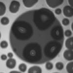 Dirt Fig7 042017 150x150 Dirt Fig7 042017 150x150