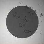 Dirt Fig8 042017 150x150 Dirt Fig8 042017 150x150