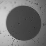 Dirt Fig9 042017 150x150 Dirt Fig9 042017 150x150