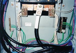 Proper Fig5 0517 300x211 Proper Fig5 0517 300x211