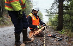 Alaska Fig2 062017 300x190 Alaska Fig2 062017 300x190