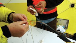 Alaska Fig8 062017 300x169 Alaska Fig8 062017 300x169