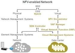 NFV_Fig1_072017