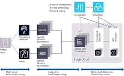 Global_Fig2_102017 Global_Fig2_102017