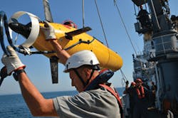 Sea Fig1 092017 300x199 Sea Fig1 092017 300x199