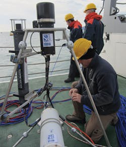 Sea Fig2 092017 257x300 Sea Fig2 092017 257x300