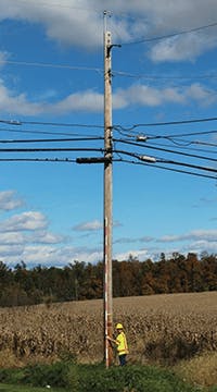 Survey_Fig5_112017 Survey_Fig5_112017