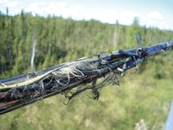 Osp Expert Fig1 112017 300x225 Osp Expert Fig1 112017 300x225