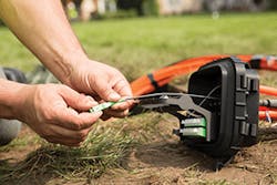 Getting Fig1 012018 300x200 Getting Fig1 012018 300x200