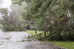 Heroes Tds Fig2 022018 300x200 Heroes Tds Fig2 022018 300x200