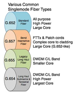 Link Fig3 022018 240x300 Link Fig3 022018 240x300