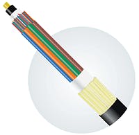 Rollin_Fig4_042018 Rollin_Fig4_042018