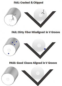 Cleanliness Fig7 062018 217x300 Cleanliness Fig7 062018 217x300