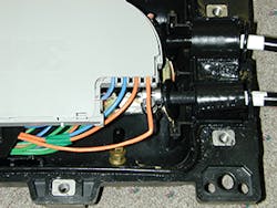 Same Fig2 082018 300x225 Same Fig2 082018 300x225