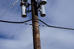 Mountain Fig1a 102018 300x200 Mountain Fig1a 102018 300x200