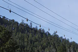 Mountain Fig1b 102018 300x200 Mountain Fig1b 102018 300x200