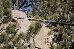 Mountain Fig2 102018 300x200 Mountain Fig2 102018 300x200