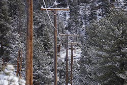 Mountain Fig3 102018 300x200 Mountain Fig3 102018 300x200