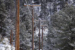 Mountain Fig3 102018 300x200 Mountain Fig3 102018 300x200