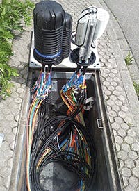 Collaboration_Fig2_052019 Collaboration_Fig2_052019