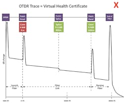 Amazing_Fig1_062019 Amazing_Fig1_062019