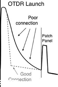 Amazing_Fig3_072019 Amazing_Fig3_072019