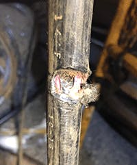 Bedlam_Fig2_082019 Bedlam_Fig2_082019