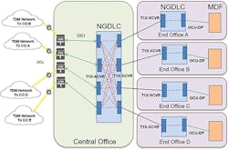 Forget_Fig3_082019 Forget_Fig3_082019