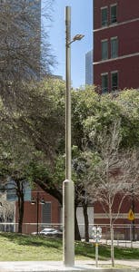 Spots Fig1 0819 153x300 Spots Fig1 0819 153x300