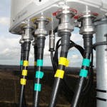 Spots Fig2 0819 150x150 Spots Fig2 0819 150x150