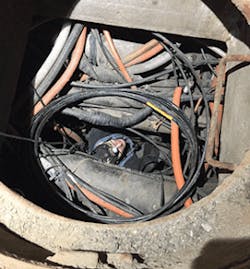 Bedlam Fig7 082019 279x300 Bedlam Fig7 082019 279x300