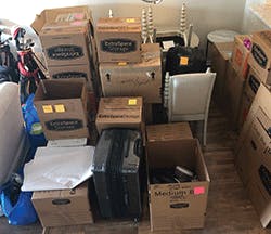 SV_Fig1_092019 SV_Fig1_092019