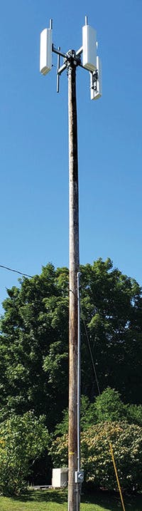 Generations_Fig3_012020 Generations_Fig3_012020