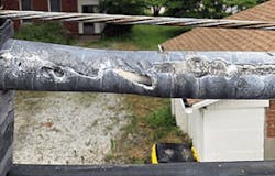 Squirreling Fig4 122019 300x192 Squirreling Fig4 122019 300x192