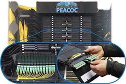 Big_Fig1_032020 Big_Fig1_032020