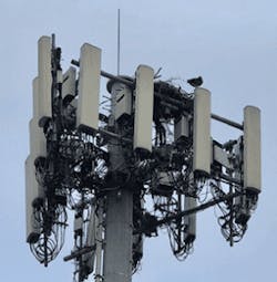 Sv Fig1 032020 294x300 Sv Fig1 032020 294x300