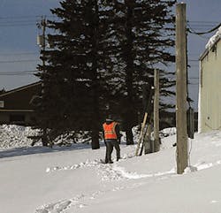 Apples Fig1 0520 300x289 Apples Fig1 0520 300x289