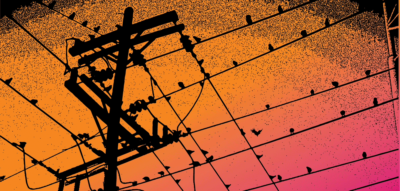 Proactive 0720 1402x672